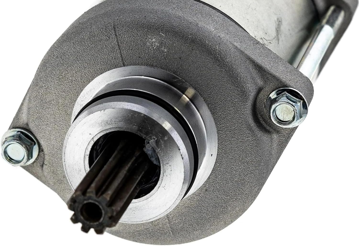 京都くろちく高級麻筒描き暖簾番傘 150cm