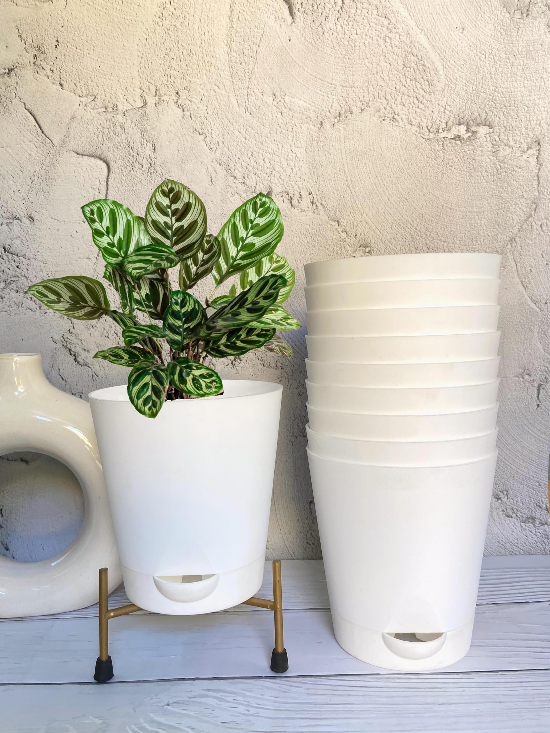 See full amazon price history chart for Indian Gardens - Colour Plastic Self Watering Pot for Home Garden | Plastic Plant Pot for Terrace Garden (White, Pack of 10) Indian Gardens - Colour Plastic Self Watering Pot for Home Garden | Plastic Plant Pot for Terrace Garden (White, Pack of 10) (B0CKVJZM9N) Amazon Price History, Amazon Price Tracker