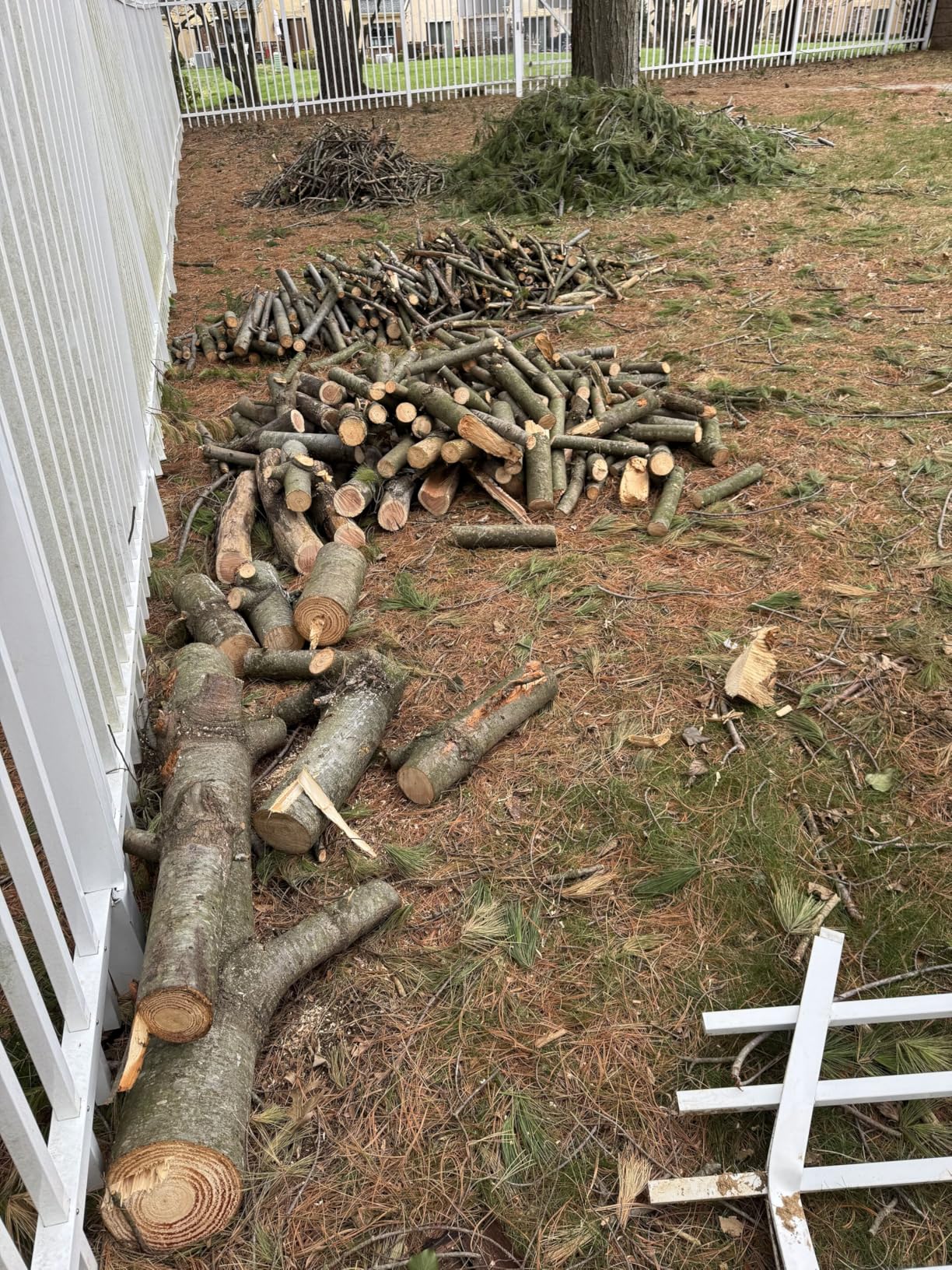 Love it - bought the 8-inch version a few days after loving my time with the 6-inch