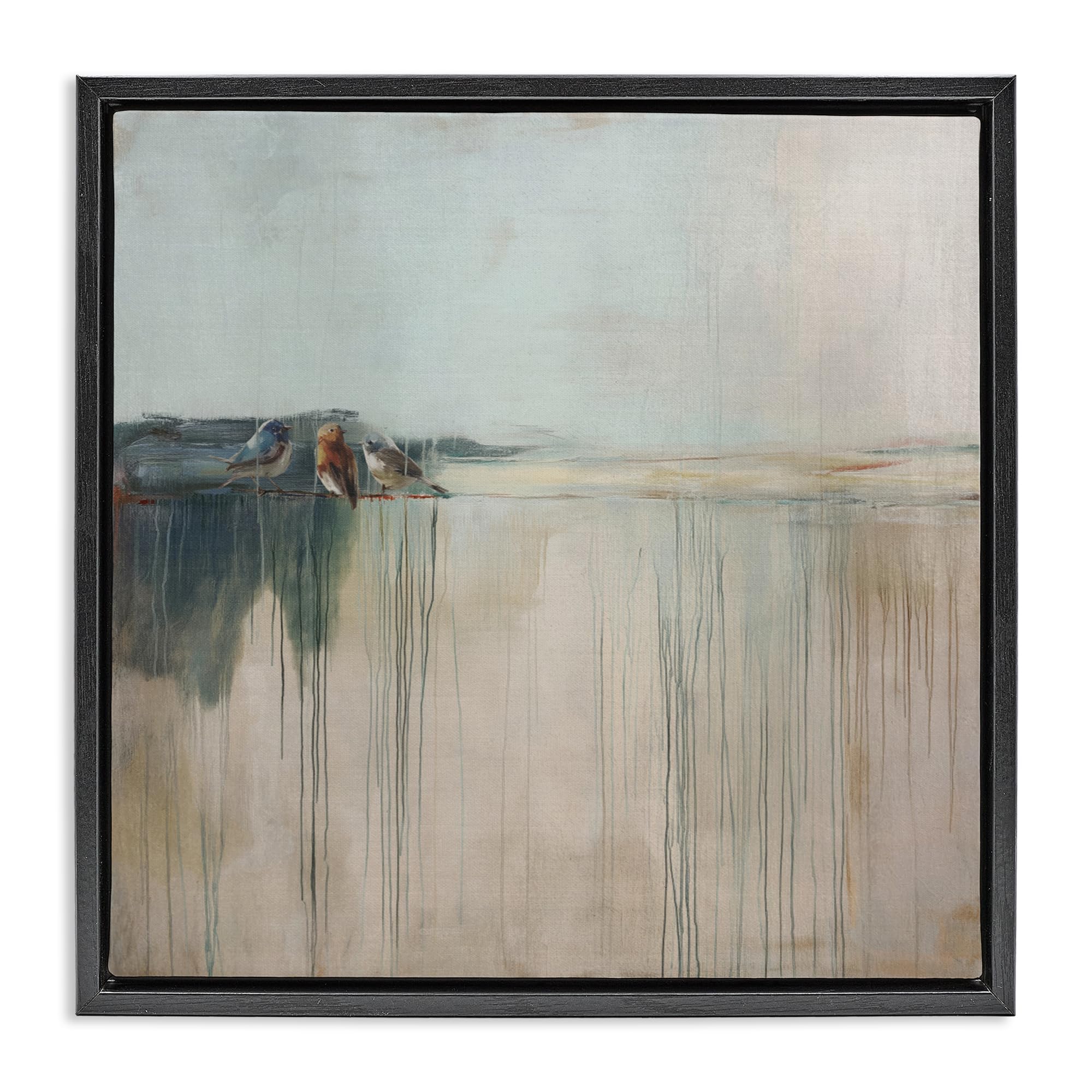 Stupell Industries 'Drips And Feathers Abstract', Floating Frame Canvas Art, Black, 25 x 25 Inches, Easy to Hang and Sturdy, Made in USA, by Svetlana Aleynikova