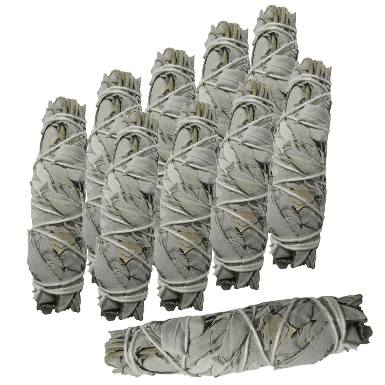 Weißer Salbei zum Räuchern 10 x Smudge Bündel 10-12cm White Sage Kalifornien. Räucherwerk + Beschreibung + Booklet + Anleitung. 81237