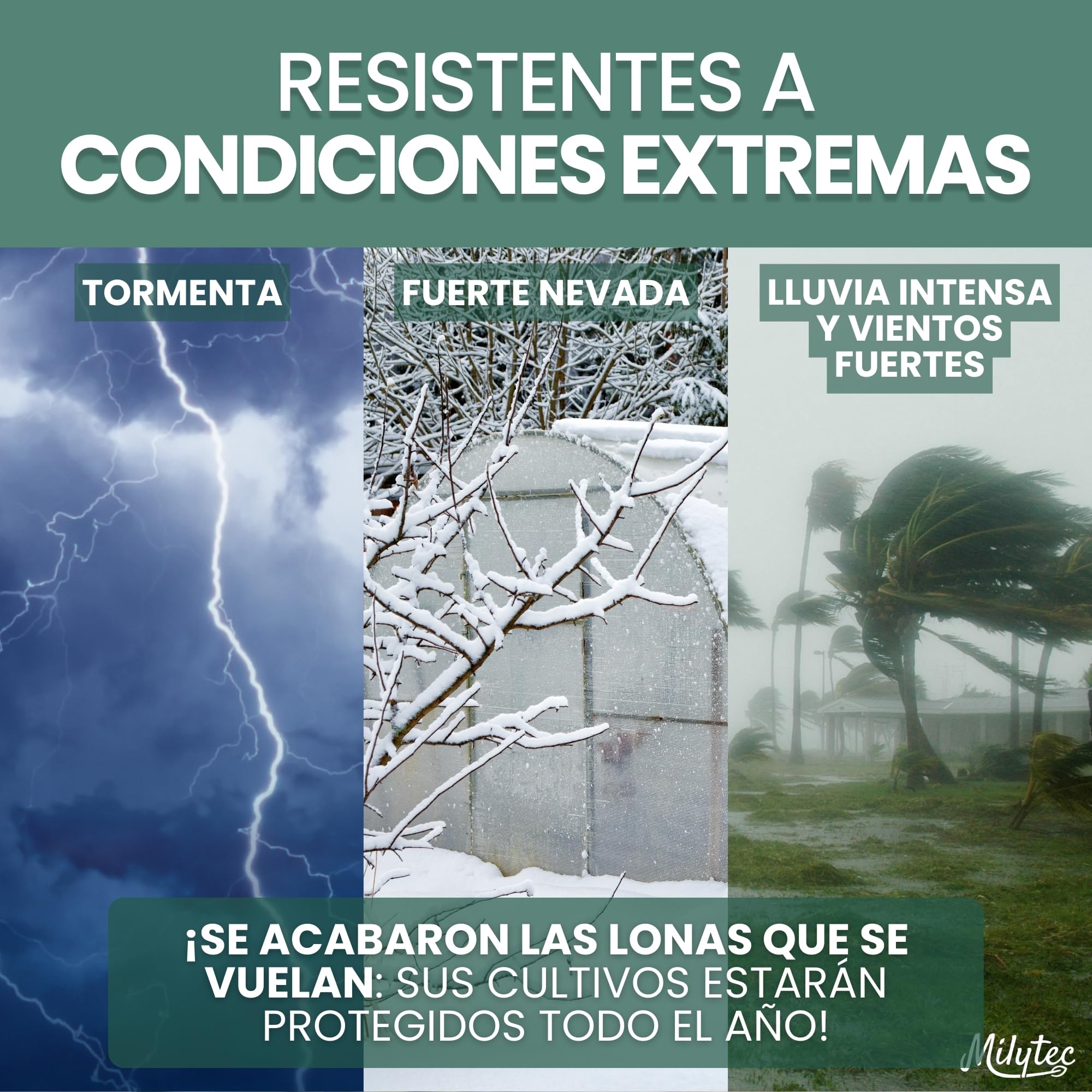 Clips para Invernaderos 25 mm x40 - Pinzas Metálicas Resistentes para Sujetar Toldos, Lonas y Plásticos - Accesorios de Invernadero para Protección de Cultivos y Jardinería