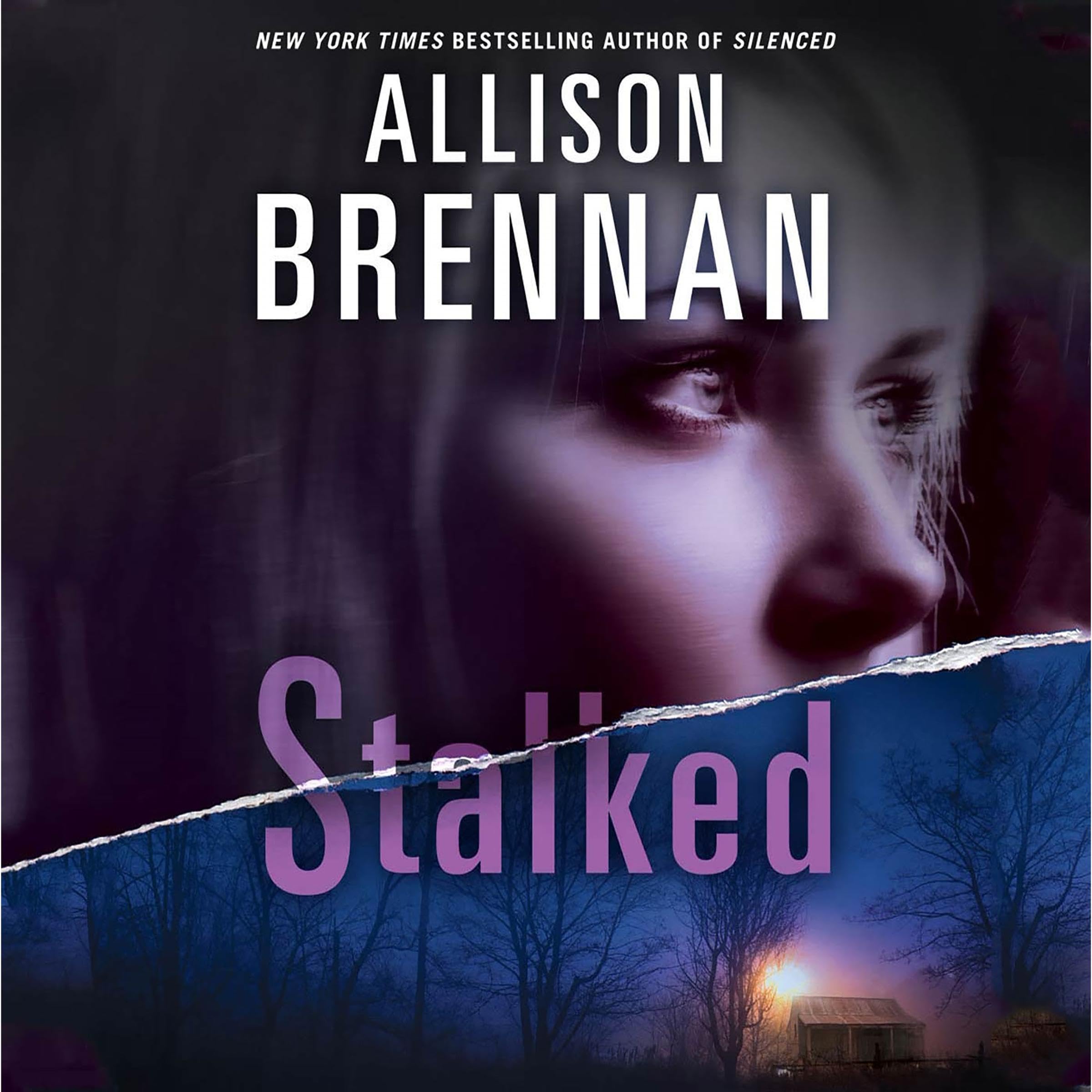 Cover art for Stalked