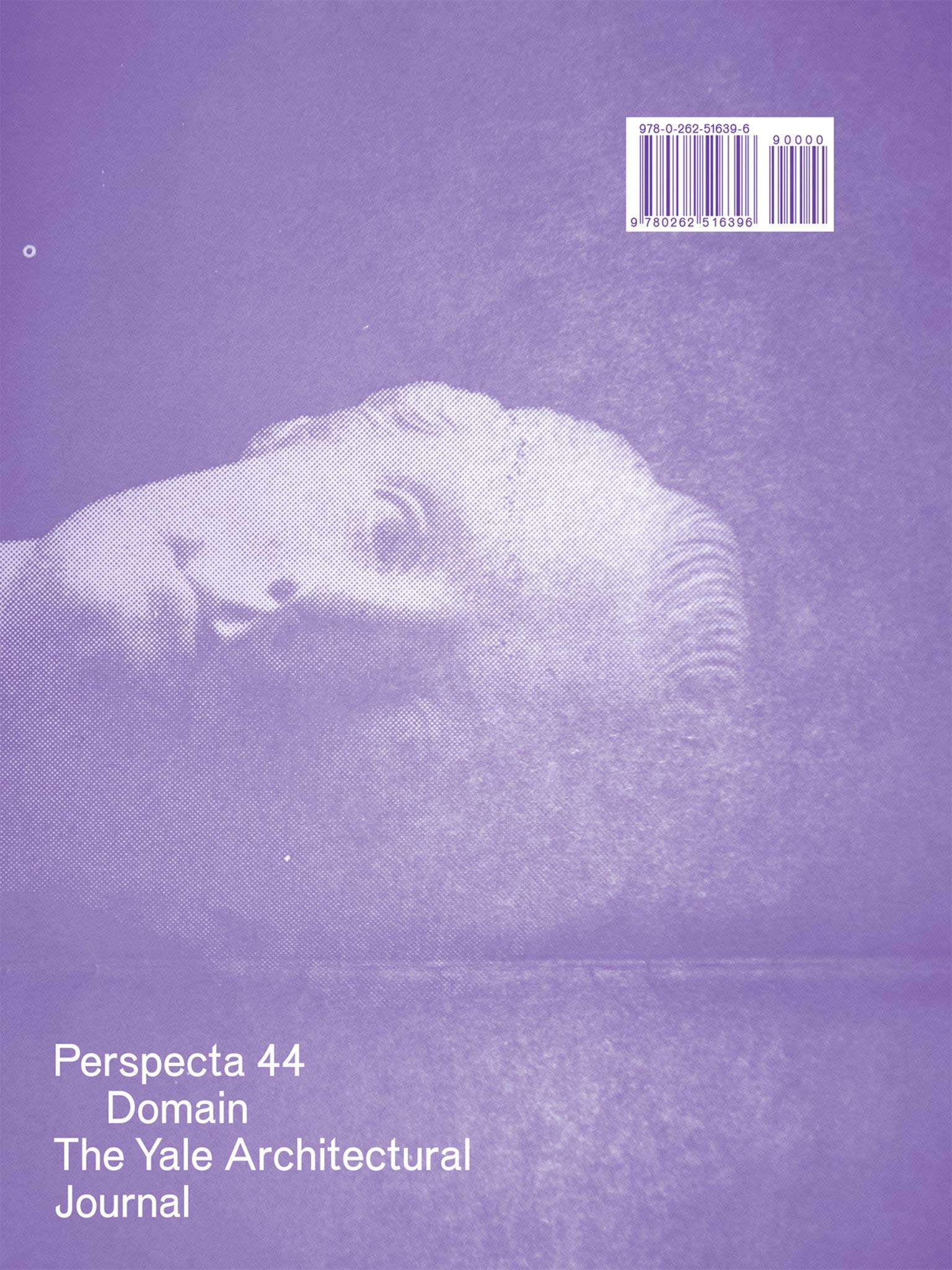 Perspecta 44 – Domain