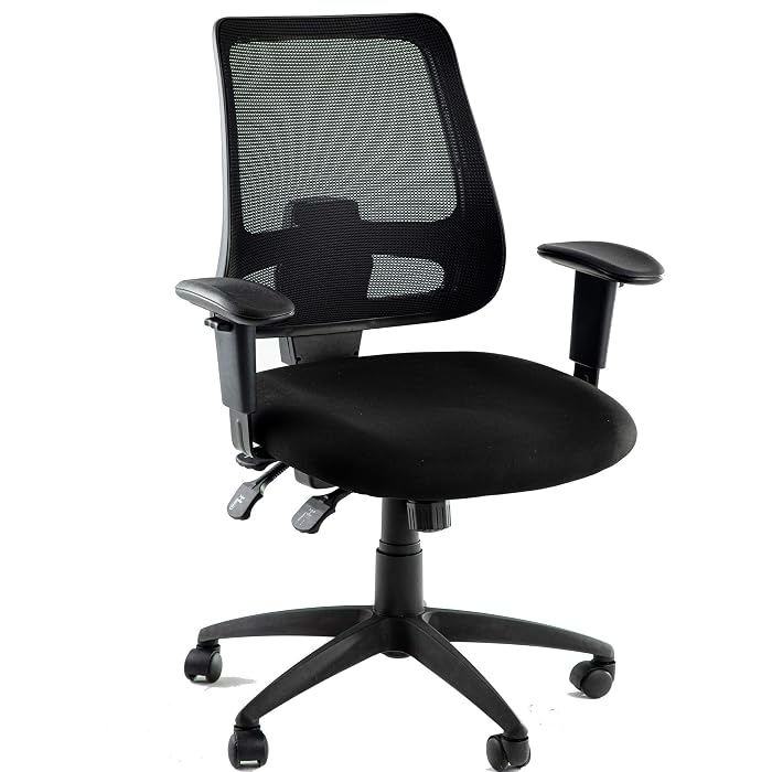 Buy INSAEIGY Office Chair with Multiple Adjustment Points Executive Swivel Ergonomic High-Back 