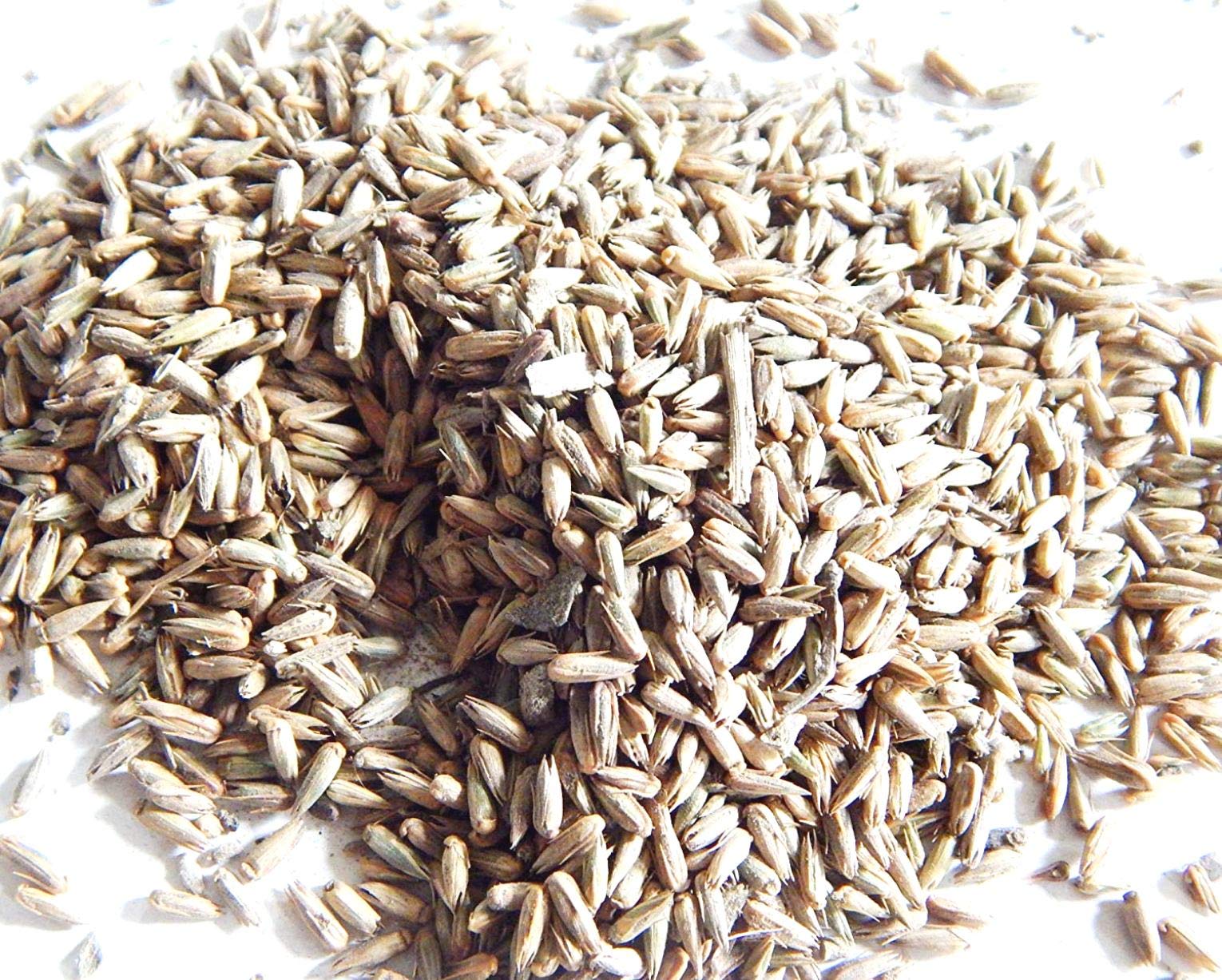 Xetomos Apamarga Latjira Chirchita Seed Prickly Chaff 250gm. Other names are Apamarga, Latjira, Chirchita, Adhoghanta, Adhvashalya, Aghamargava, Aghata, Apangaka, Chamatkara, Dhamargava Beej, Apamarg , Latjira, Apmarg, Latjira, Chirchita, Latjeera Be (B0854FJD7S) Amazon Price History, Amazon Price Tracker
