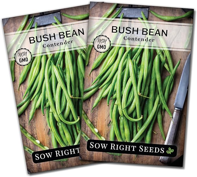 Sow Right Seeds Contender Bush Bean Seeds for Planting