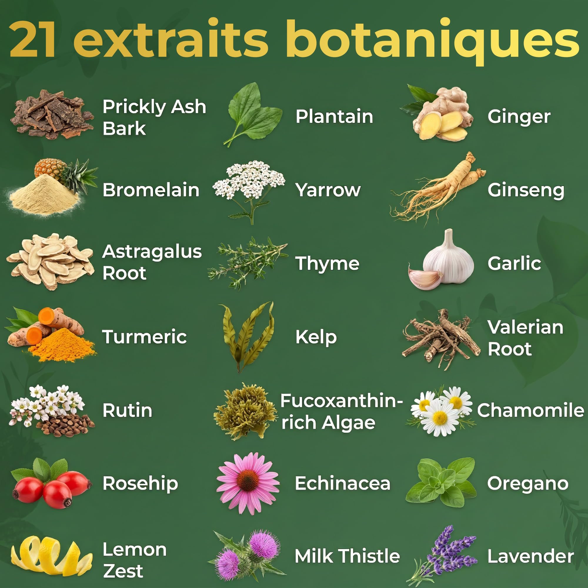 Gouttes pour le système drainage lymphatique- Extrait d'un mélange botanique 21 en 1 - Favorise l'équilibre, le bien-être et le système immunitaire - 100% naturel - Sans OGM - 60 ml