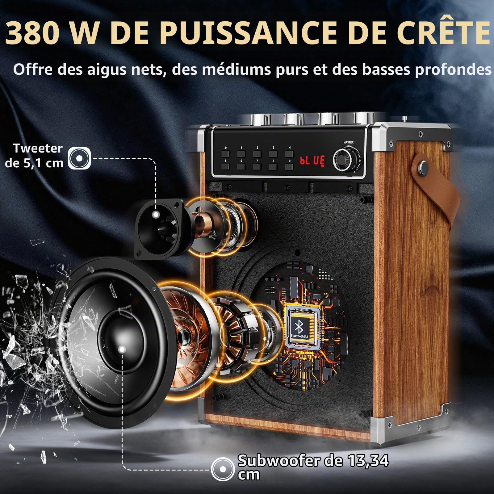 JYX Machine de Karaoké, Enceintes de Karaoké Professionnelles avec 2 Microphones sans Fil et Lumières de Fête DJ, Supporte Le Système de Karaoké Portable TWS/AUX/FM/USB/TF Card