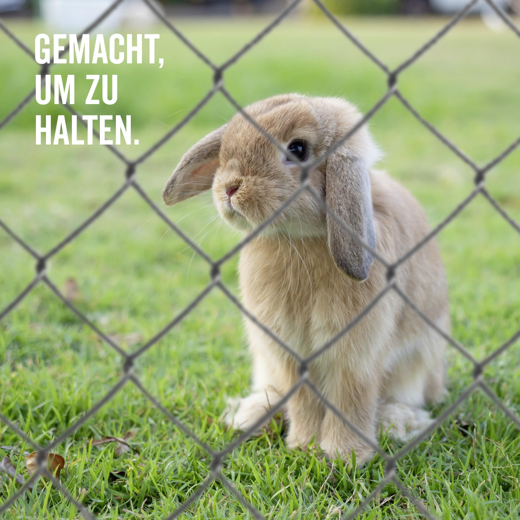 Alberts 604660 Maschendrahtgeflecht | Maschendrahtzaun, Hundezaun, Gartenzaun, Hasendraht | Höhe: 150 cm, Länge: 15 m, Draht-Ø 2,6 mm | Anthrazit