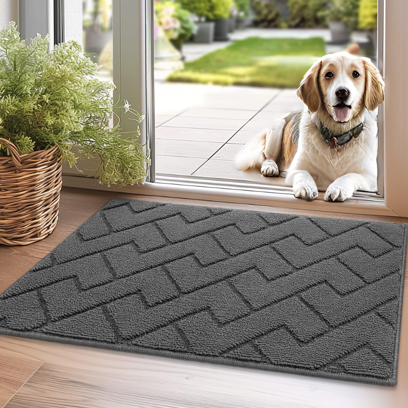 Biscpro Fußmatte Grau 50x80cm Innen und Außen, Waschbar Fussmatte, Wasserdicht Türmatte, Rutschfester Schmutzfänger Teppich für Eingang, Haustür, Patio, Flur, Garten