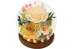 Birthday Flowers Fresh Bouquet, Preserved Real Flowers, Long-Lasting Floral Arrangement for All...