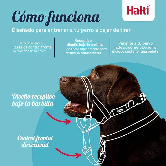 Foto 2 de 6 de Collar Ronzal HALTI - Para evitar que tu perro tire de la correa, Ajustable y Ligero, con banda de nariz…