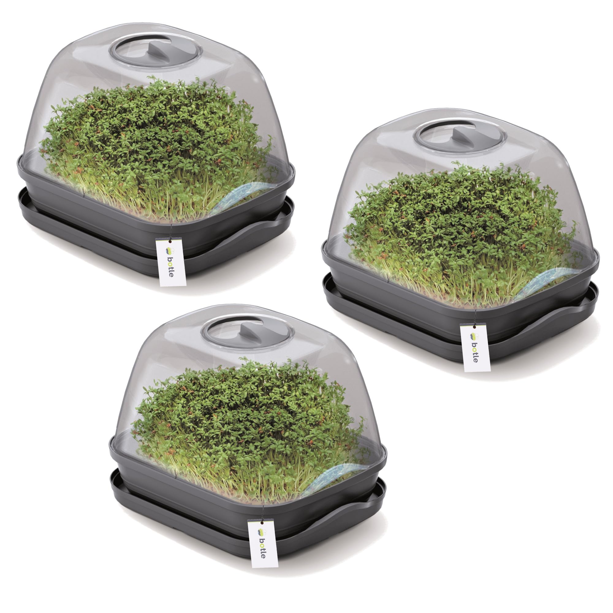 Lot de 3 mini serres de culture - Anthracite - 25,7 x 18,5 cm - Jardinières avec couvercle - Jardinière surélevée - Pour la croissance des légumes, des semis et des semis