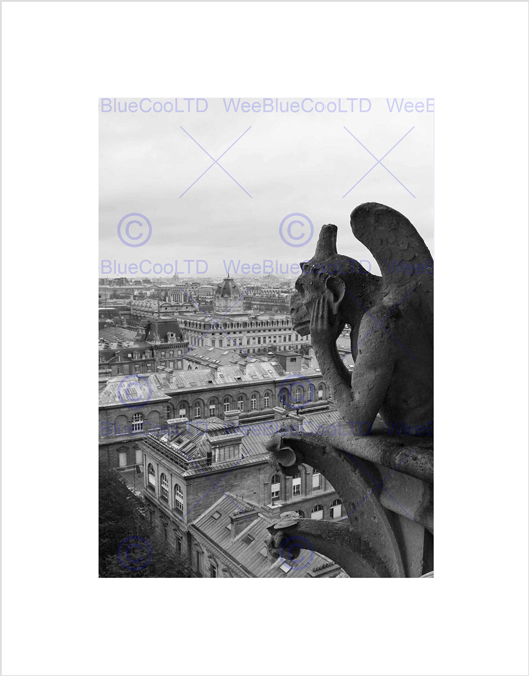 Wee Blue Coo PHOTO CITYSCAPE PARIS FRANCE GROTESQUE GARGOYLE FRAMED ART PRINT MOUNT B12X13031
