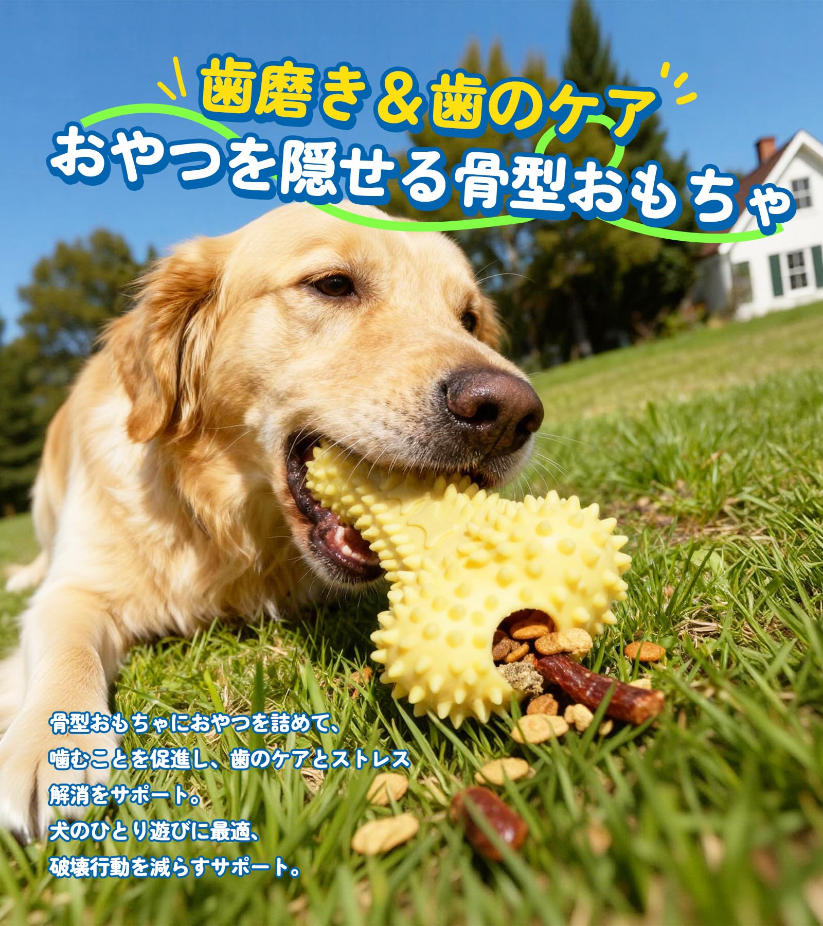 Amazon | HOLYCAT 犬 おもちゃ 頑丈 噛むおもちゃ フリスビー 小型犬