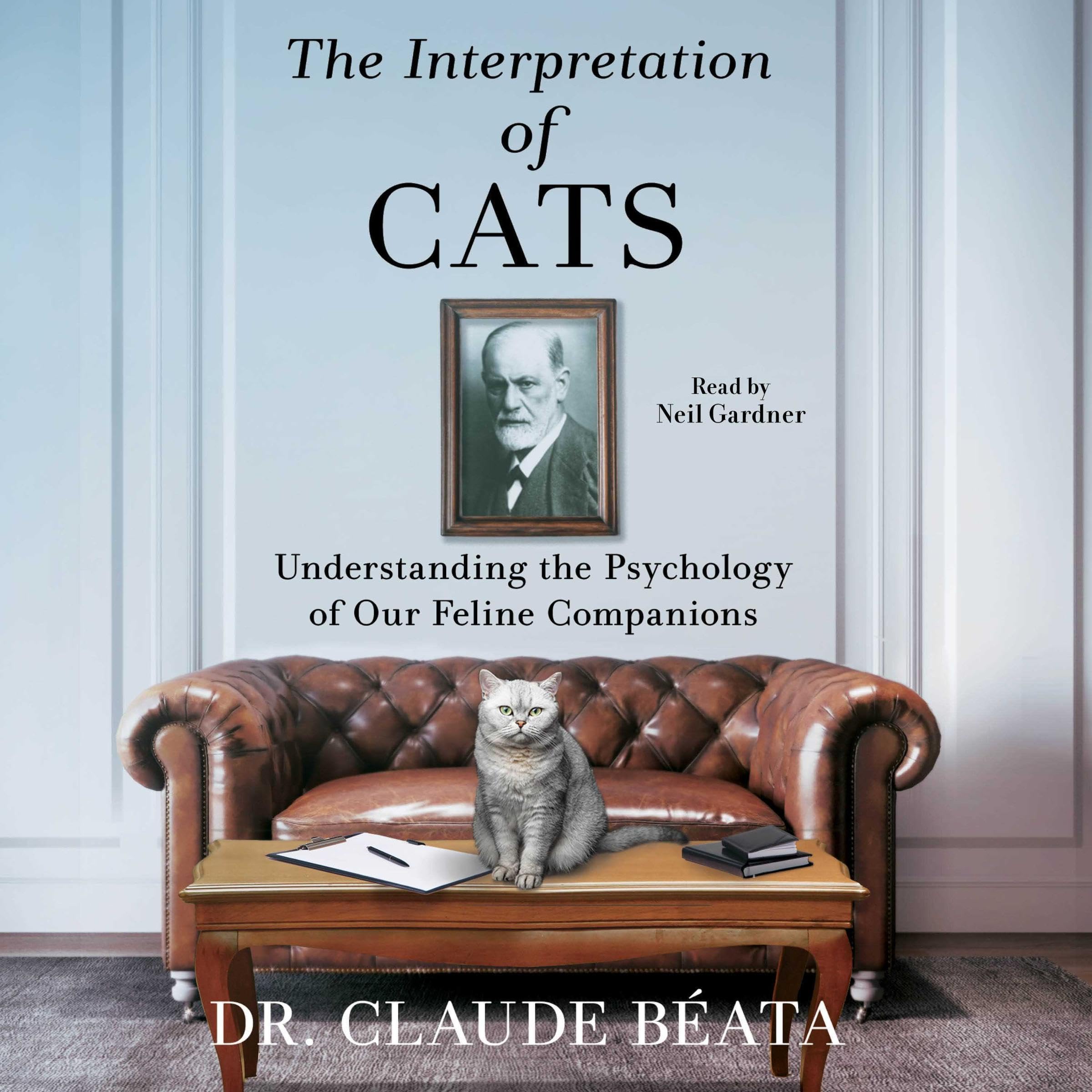 Cover art for Interpretation of Cats