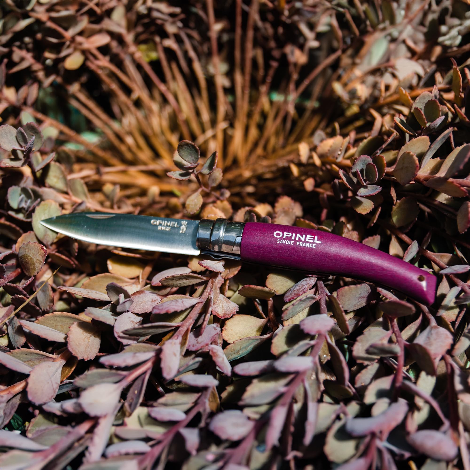Opinel - Kit de Jardinage - 3 Outils de Poche, 1 Couteau de Jardin, 1 Serpette-Greffoir N°08 et 1 Scie Fermante N°12 - Lame Acier Inox, Manche Bois de Hêtre