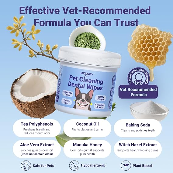 Pet Dental Care Kit