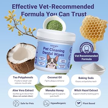 Pet Dental Care Kit