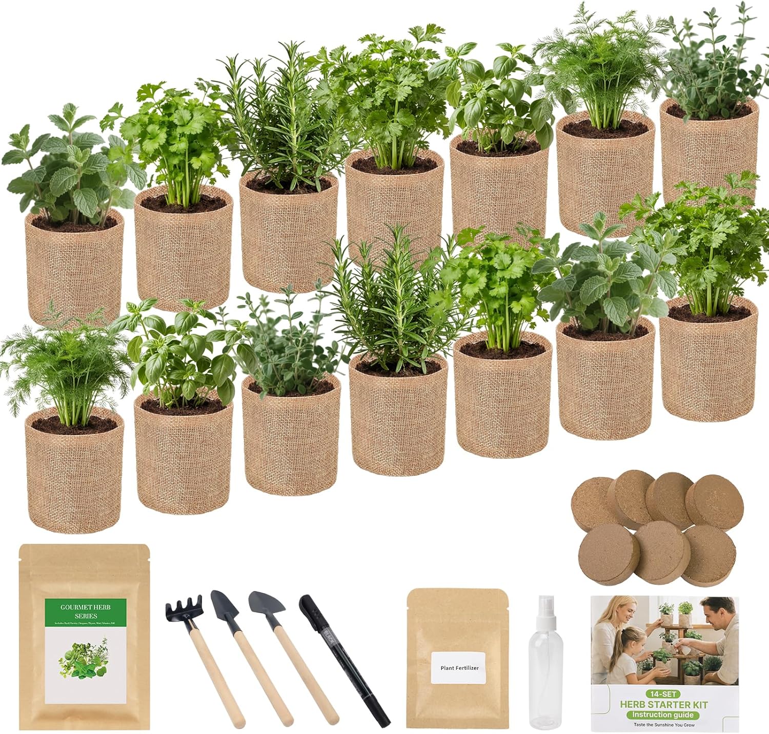 Herb Indoor Window Garden Kit - House Plants Seeds - Best Unique Christmas Gift Ideas for Women, Friend, Birthday, Housewarming, Mother, Beginner DIY Craft & Hobby Gardening Gift for Plant Lovers