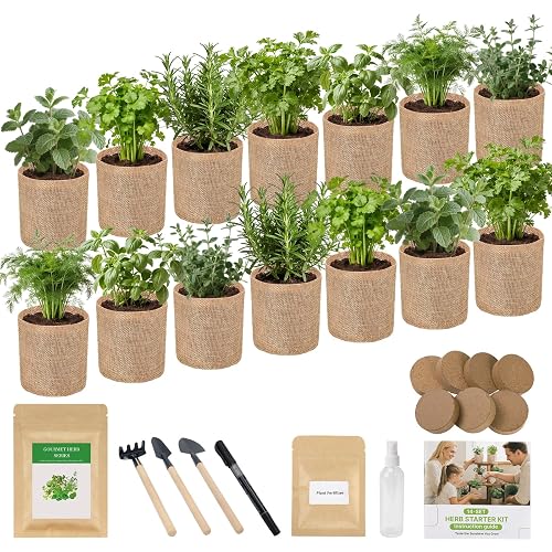 Herb Indoor Window Garden Kit - House Plants Seeds -