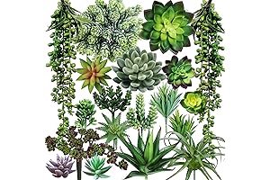 Winlyn Artificial Succulent Plants