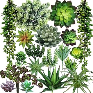 Winlyn 19-Pc Assorted Fake Succulents Bulk - Unpotted Artificial Aloe, Cacti, Hanging Plants for Wreaths, Centerpieces, Home Decor
