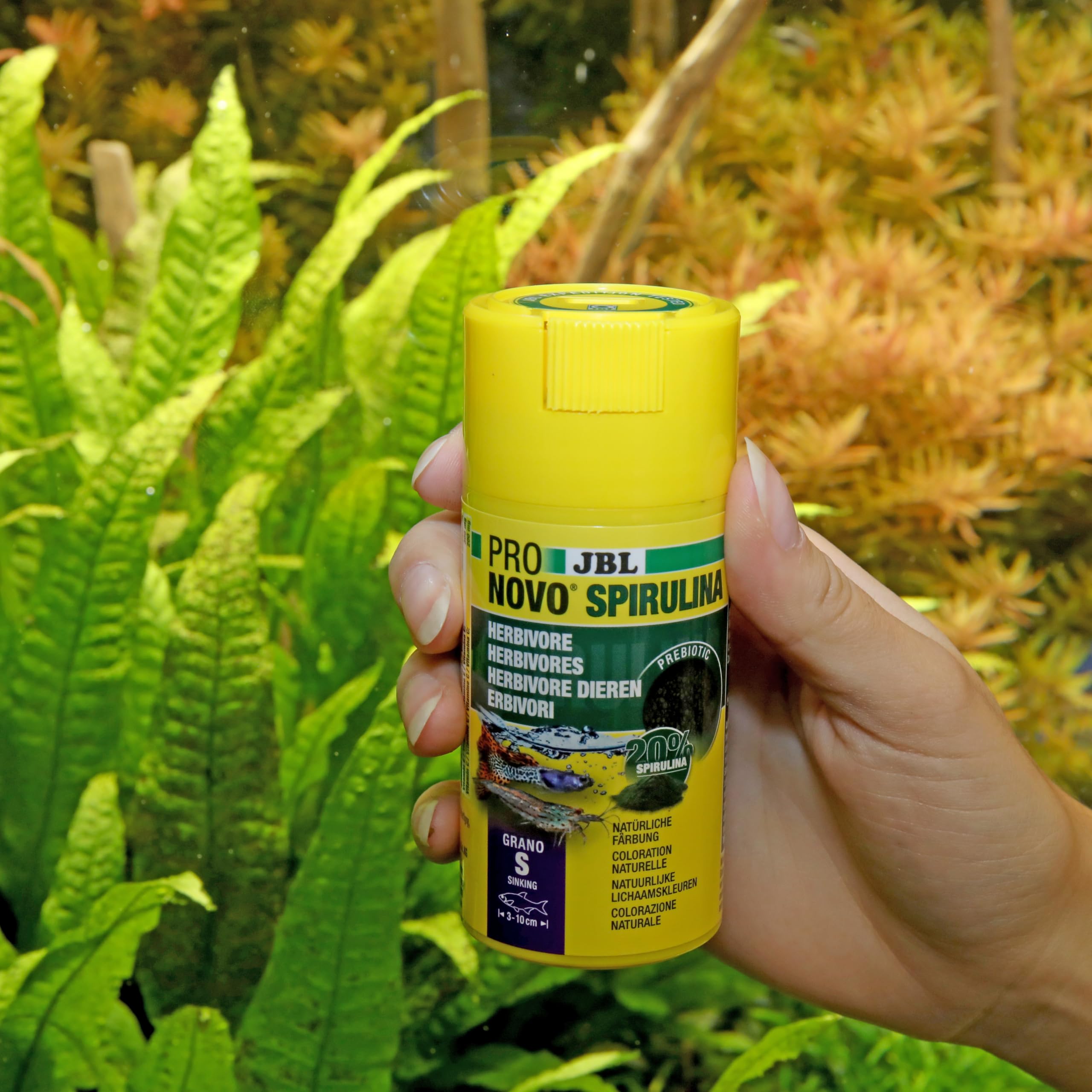 JBL PRONOVO SPIRULINA GRANO S 100ml CLICK