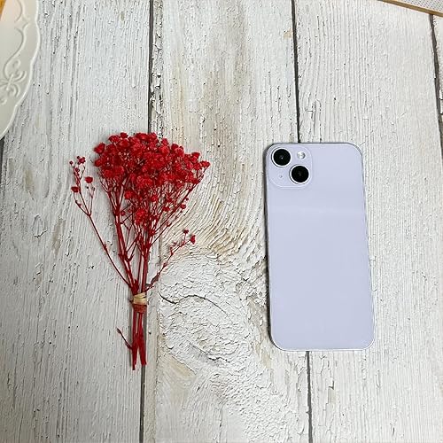 Miniatura 3 de Birtlynn 6 ramos de tamaño mini preservado para bebé, gypsophila 100% natural, flores de larga duración para jarrón, decoración del hogar,