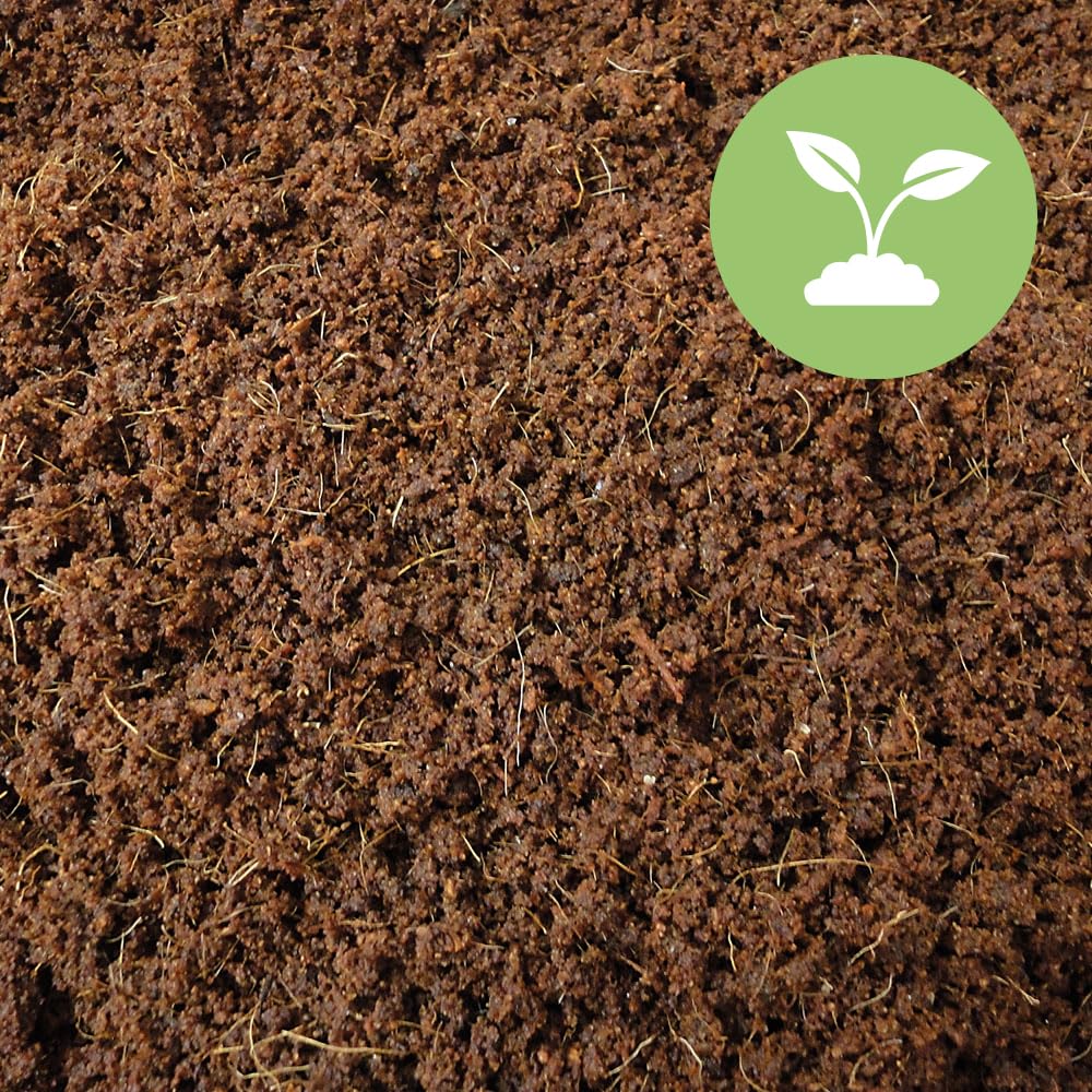 Kokoshumusziegel als Hochbeeterde, Blumenerde für Pflanzen/Zimmerpflanzen - 24x650g - natürliche Kokoserde als Alternative zur herkömmlichen Blumenerde für EIN kräftiges Wurzelwachstum (216 Liter)