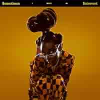 Little Simz Sometimes I Might Be レコード Little Simz - Sometimes I Might be Introvert - Vinyl, CD