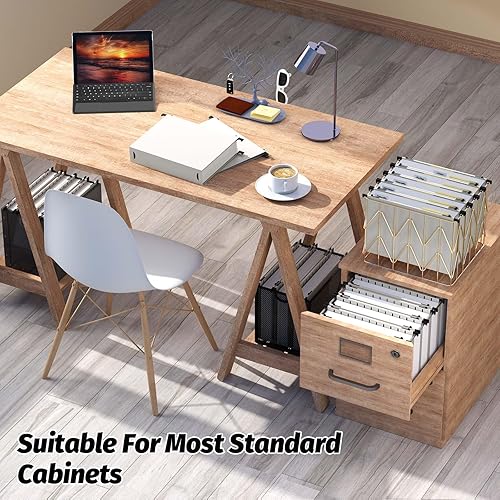 Miniatura 7 de SHUTEX Carpetas colgantes de plástico, paquete de 12 carpetas colgantes reforzadas de capacidad extra, expansión resistente de 2 pulgadas, carpetas