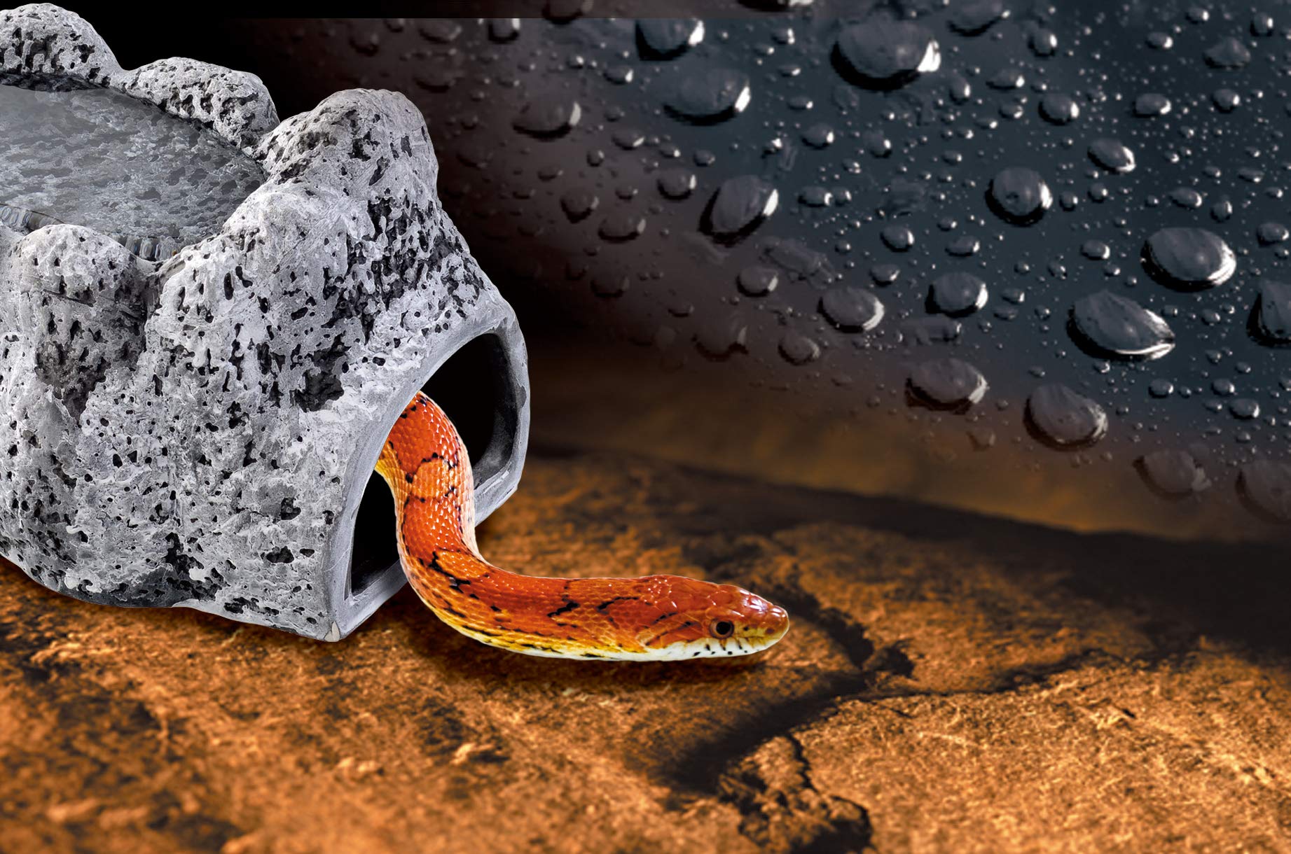 Amazon | GEX EXOTERRA モイストロック200 PT3173 爬虫類用シェルター