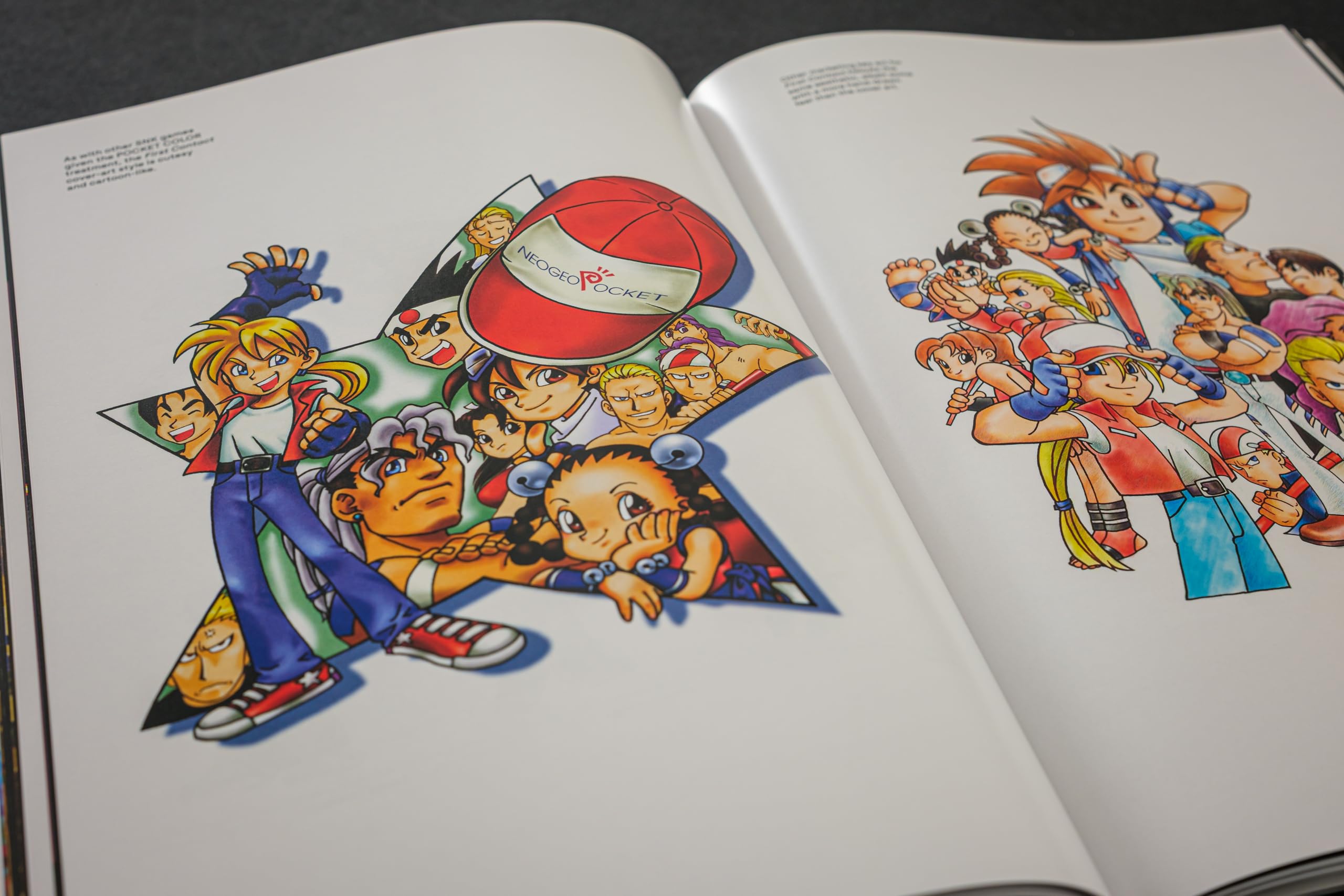 Fatal Fury/Garou Densetsu: The Ultimate History