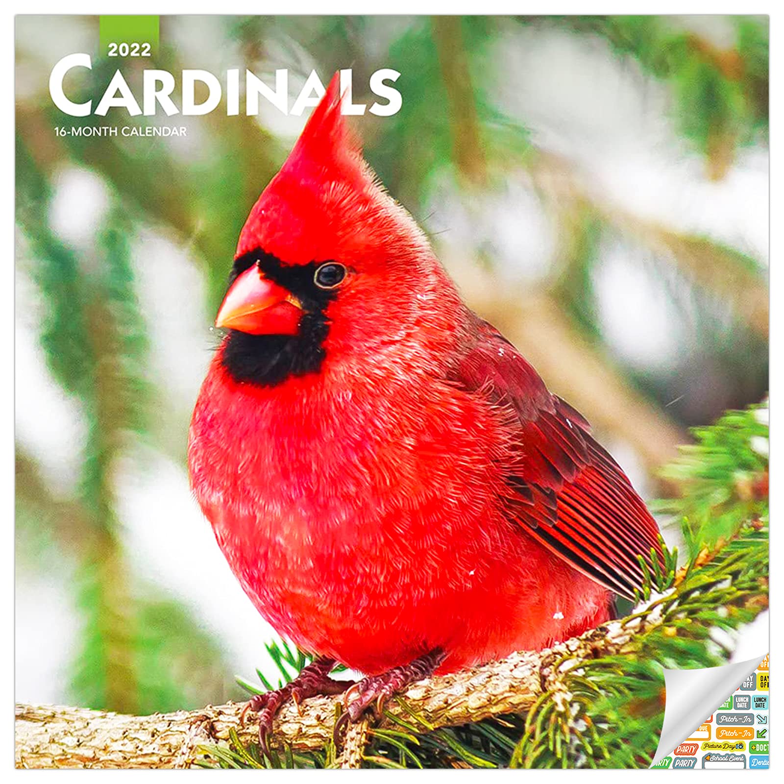 Buy Cardinals 2022 Deluxe 2022 Birding Wall Bundle with Over 100