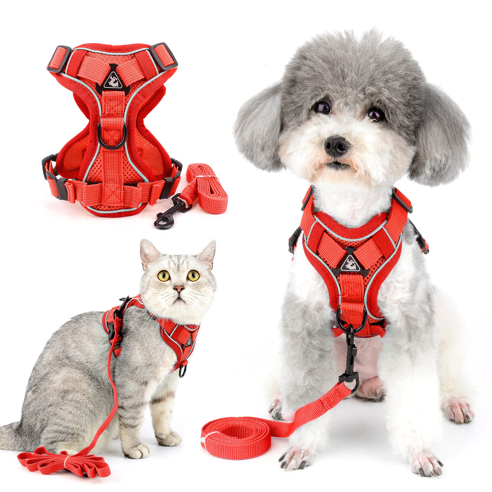 Ranphy No Pull Small Dog Harnesss and Leash Set Reflective Pet Step In Vest Escape Proof Puppy Cat Harnesses Breathable Adjusatble Chest Harness Walking Jacket for Outdoor Trainning