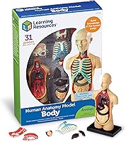 Vista 1 de Modelo de cuerpo humano, de la marca Learning Resources, Multicolor