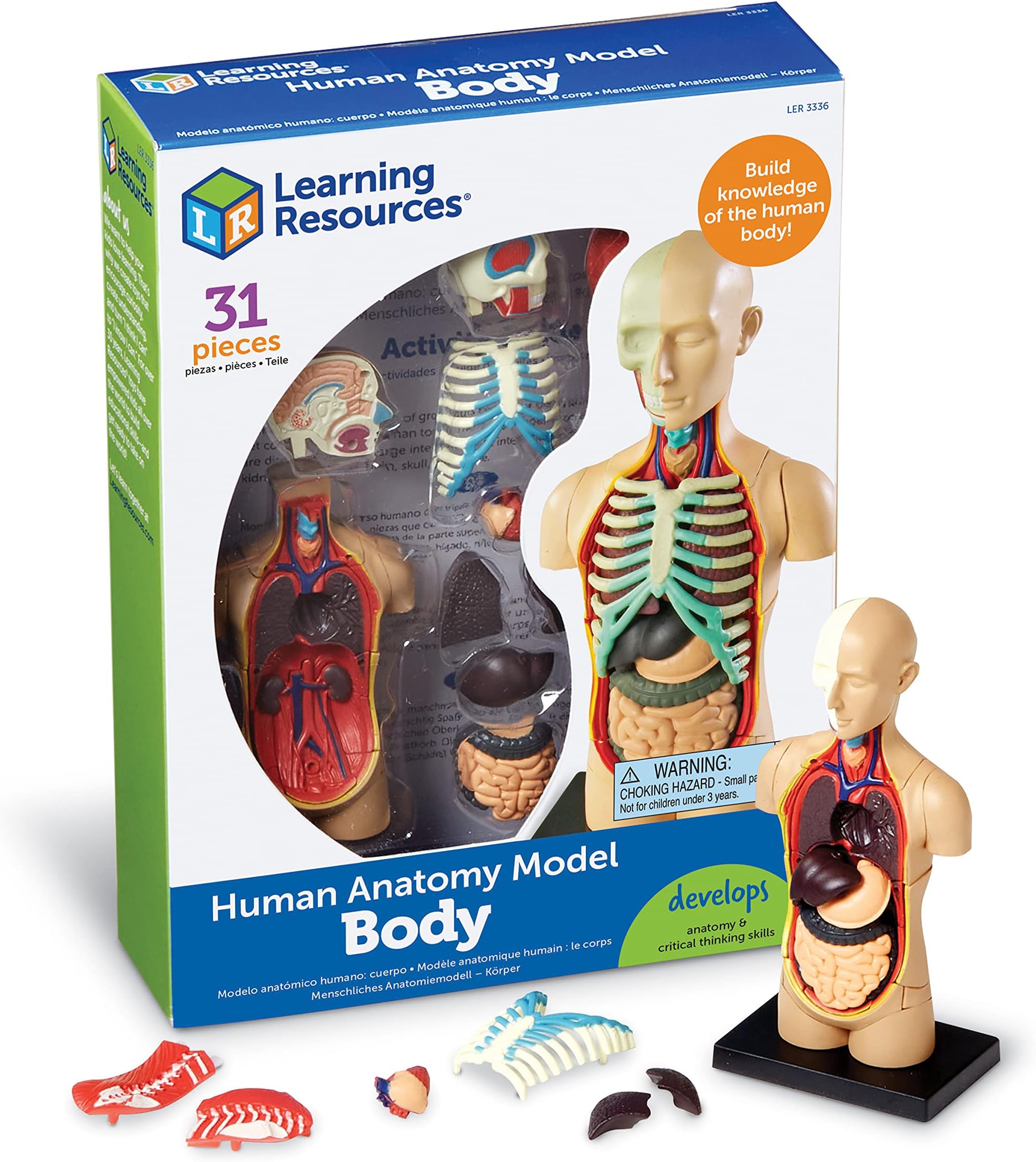 Human Body Model, Science Classroom Demonstration Tools, Realistic Human Anatomy Display, 31 Pieces, Grades 3+, Ages 8+