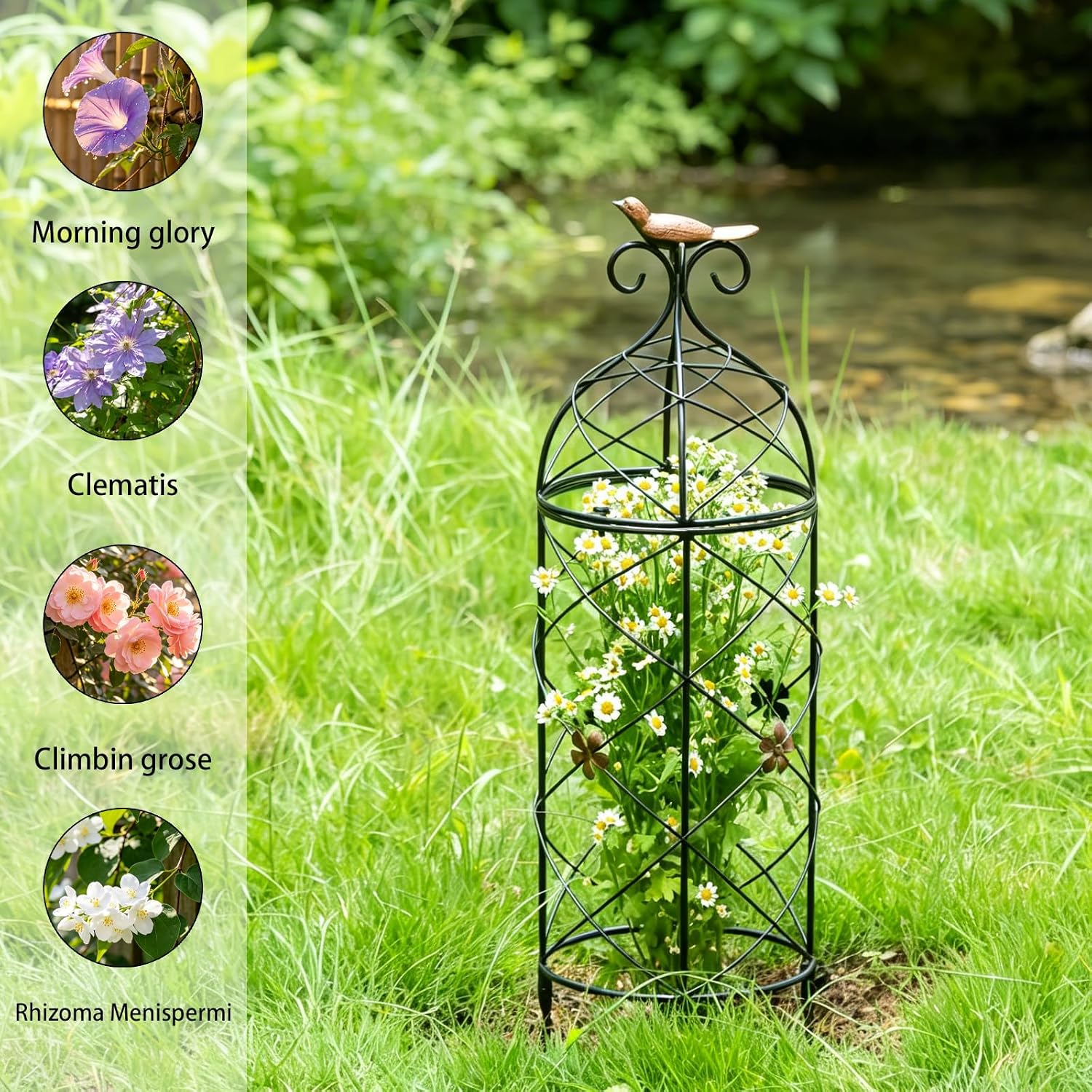 Obelisk Trellis 26" Metal Garden Support for Climbing Plants image 5