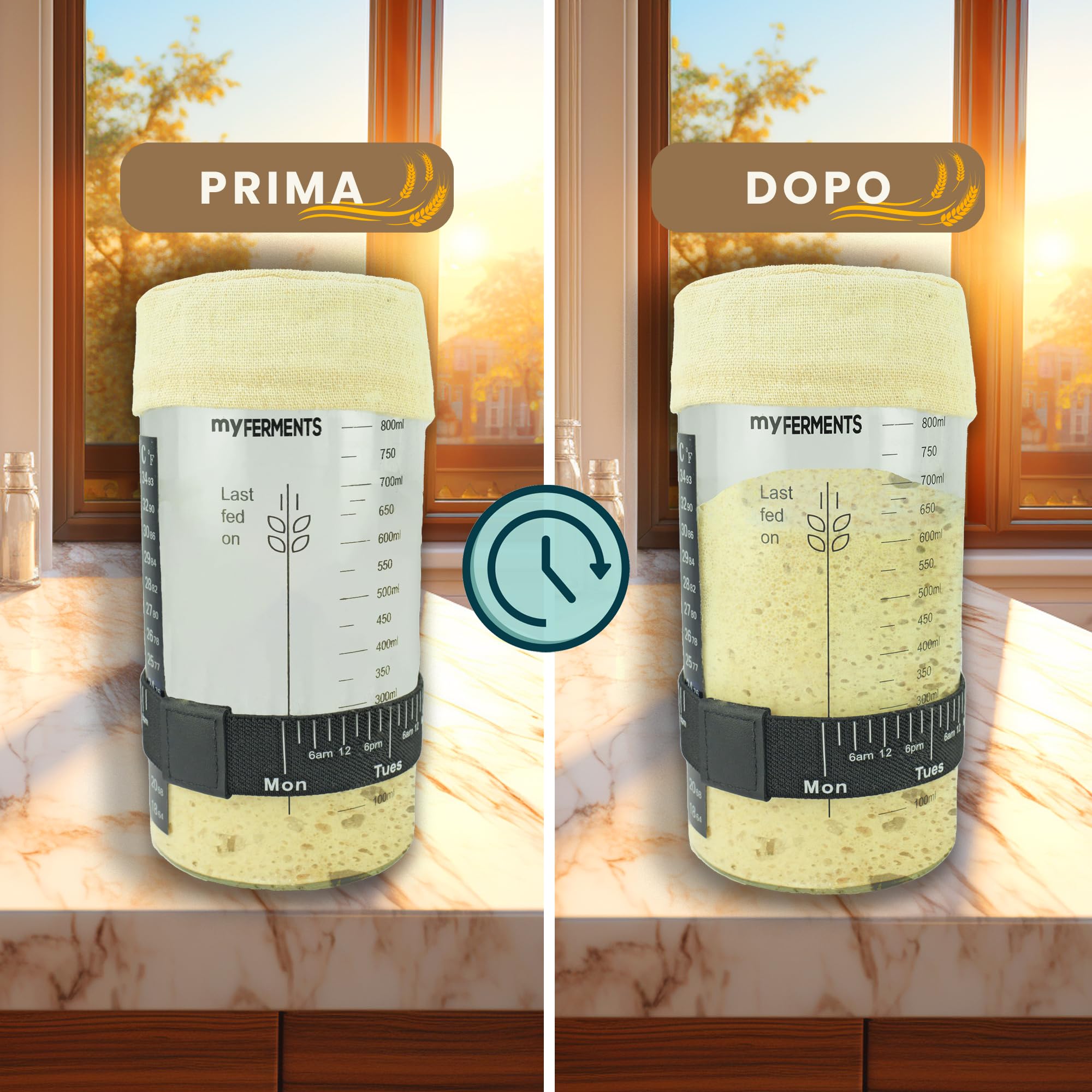 myFERMENTS - Barattolo per Lievito Madre 1000 ML | Kit Completo con Accessori | Contenitore in Vetro | Cinta Misuratrice e Termometro Inclusi | per Panificazione Casa