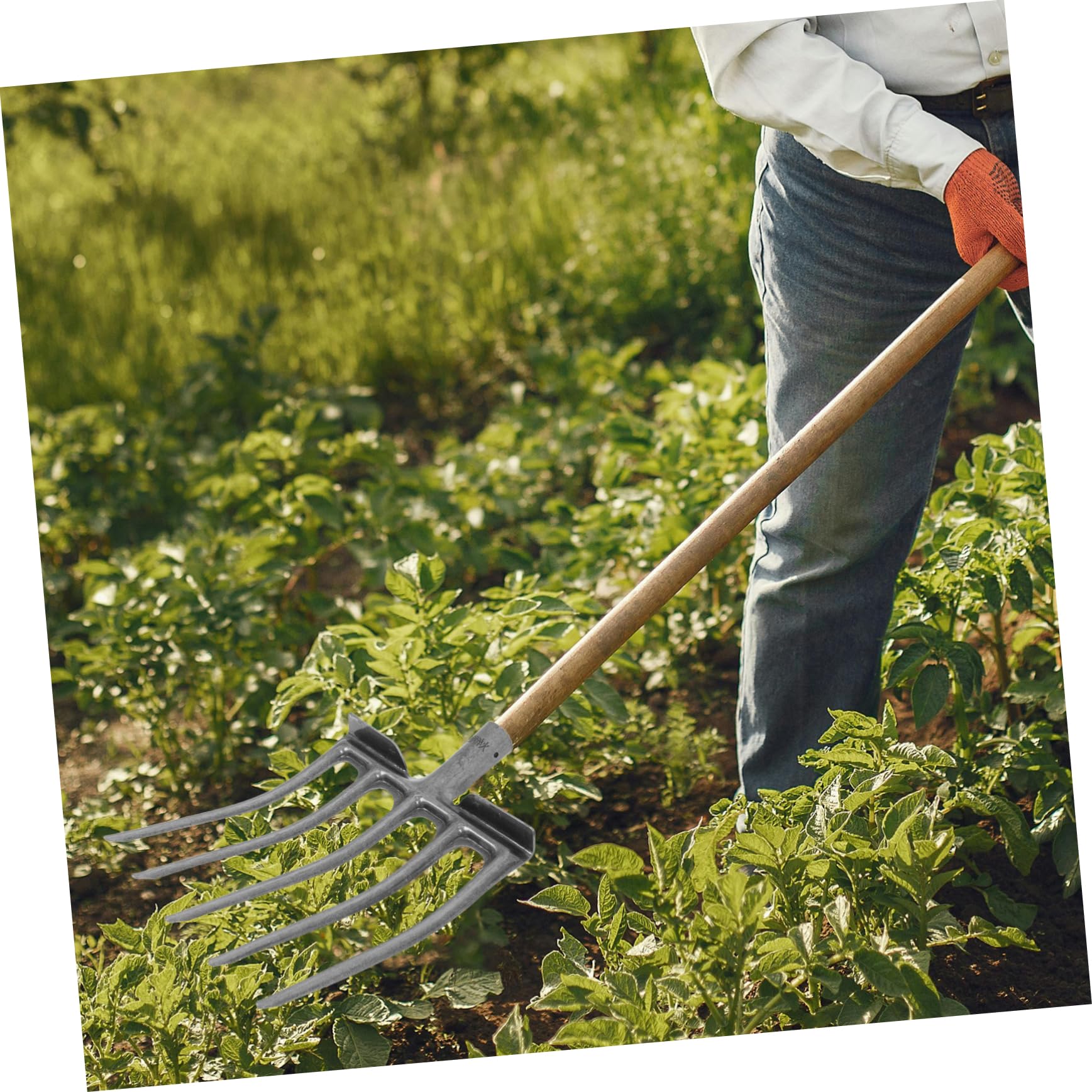 Toyvian Forca da Giardino in Acciaio 5 e 6 Denti per Scavo e Rottura Terreno, Strumento Stabile per Coltivazione e Attività Agricole in Aiuole e Orto