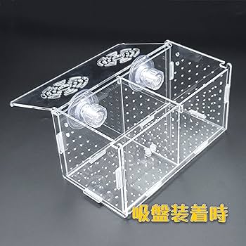 隔離ケース　２セット Amazon | 水槽用 繁殖隔離ボックス 産卵箱 2段式2箇所 産卵