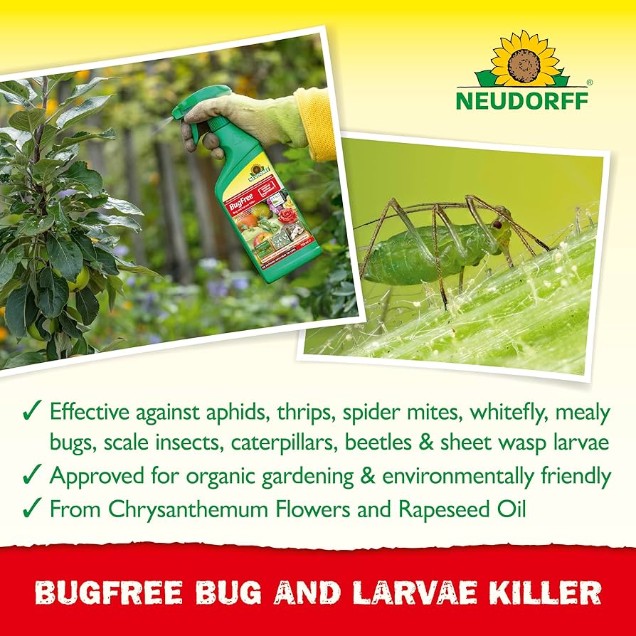 BugFree Bug And Larvae Killer Concentrate 250ml U2013 Urban Plant Life