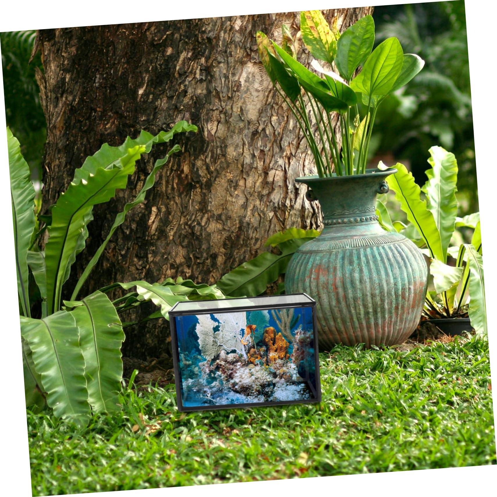 Terrario per Piante Succulente in Vetro per Casa e Giardino | Contenitore Paesaggio Fai da Te, Supporto per Piante e Fiori, Stile Semplice Naturale