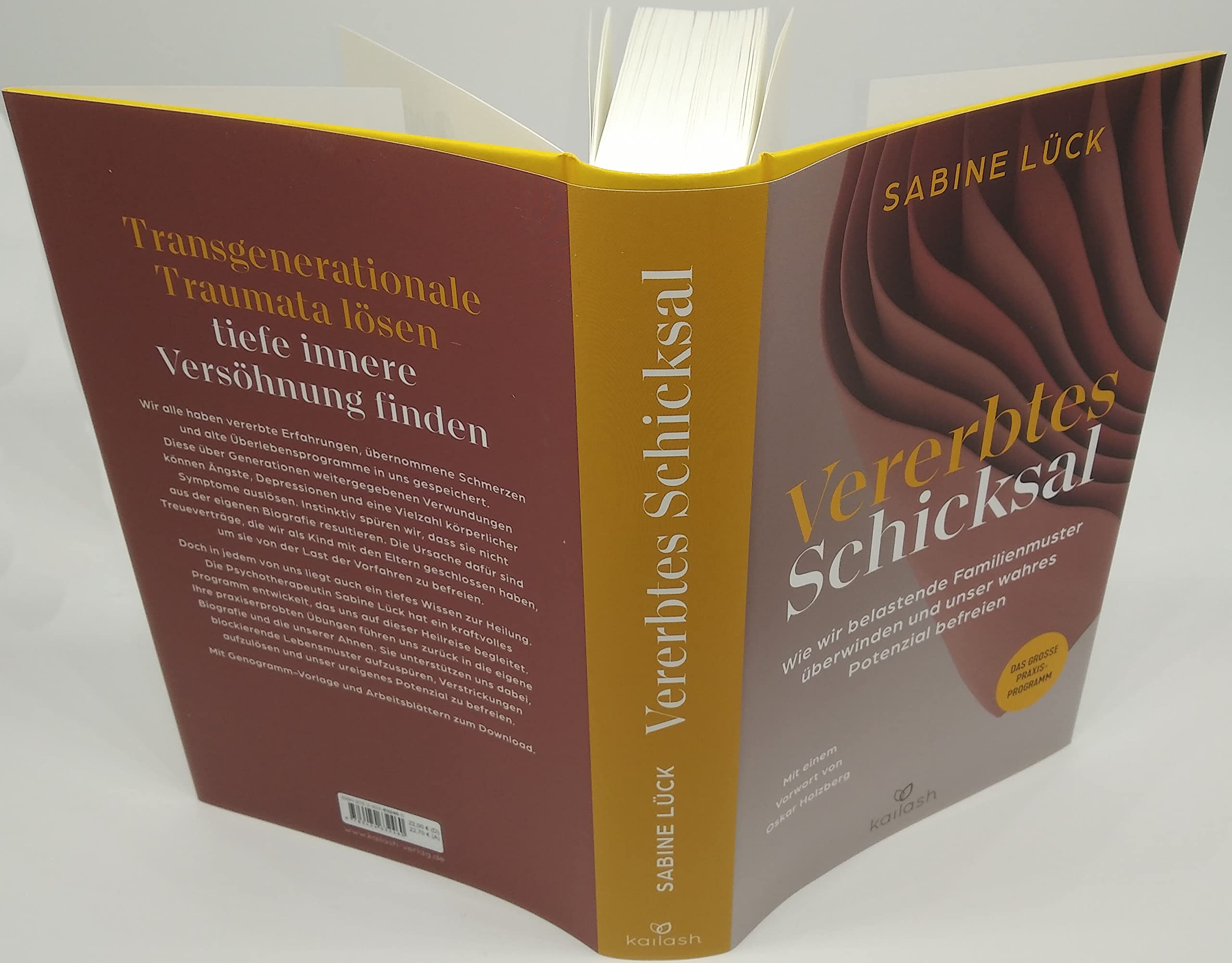 Vererbtes Schicksal: Wie wir belastende Familienmuster überwinden und unser wahres Potenzial befreien - Das große Praxisprogramm