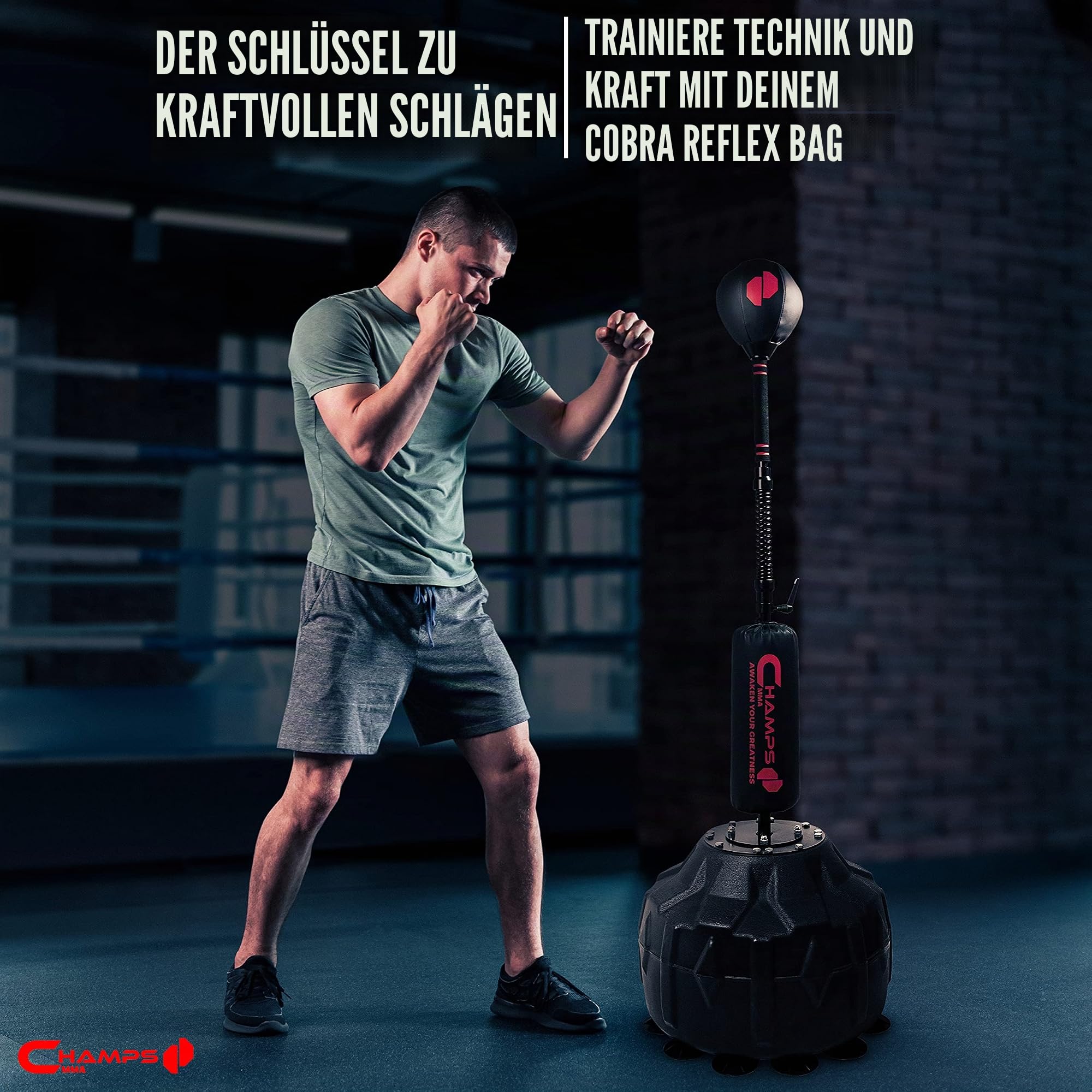 Cobra Reflex Bag – Fortschrittlicher Boxsack Mit Ultraschnellem Rückprall Zur Erhöhung Von Geschwindigkeit, Reflexen und Ausdauer – Höhenverstellbarer Boxsack Mit Ständer und Sicheren