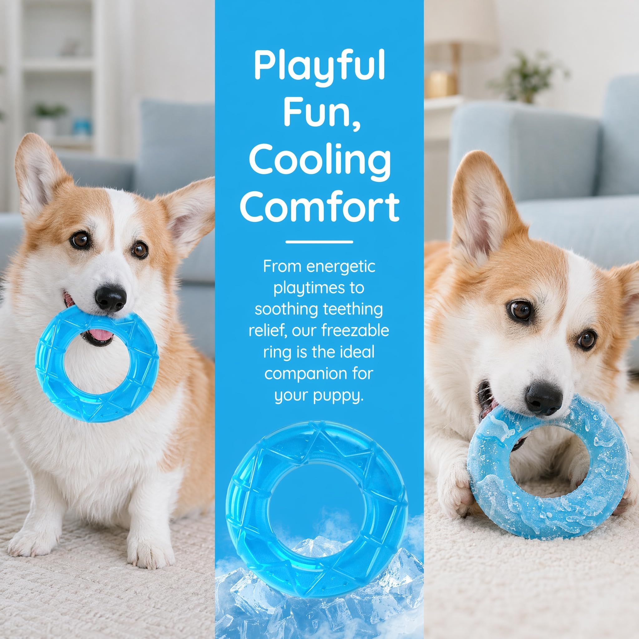 View 5