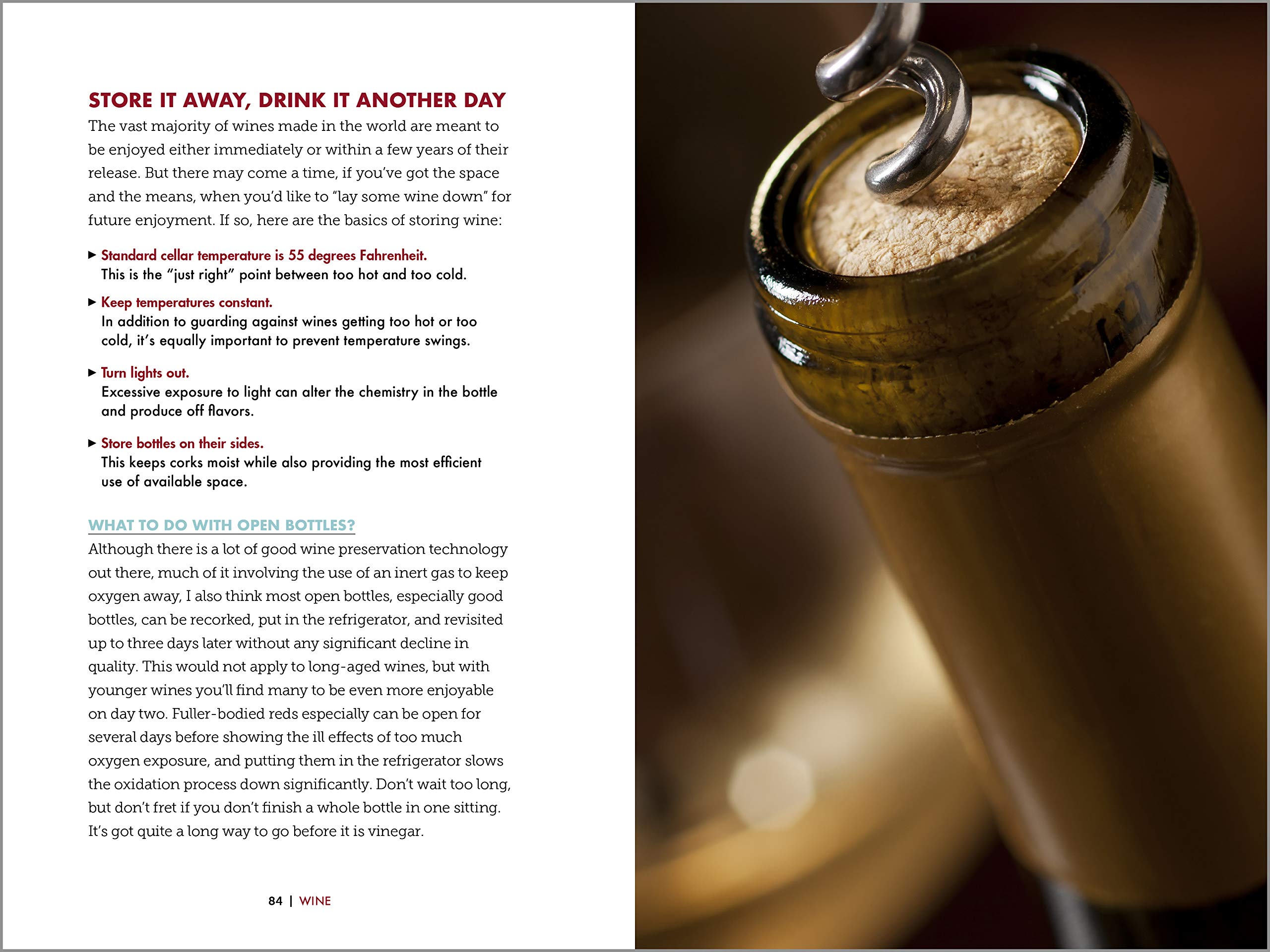 Wine: A Beginner's Guide