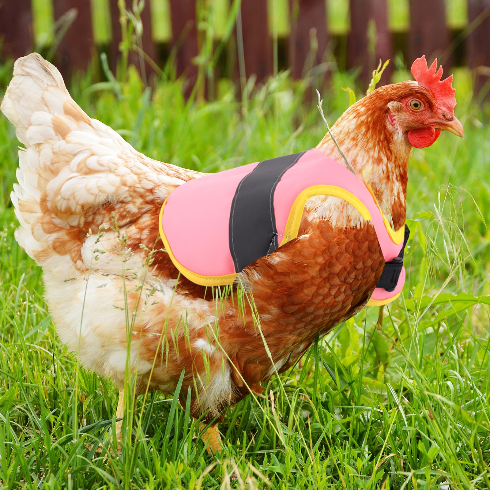 lasuroa 3pcs Selle pour Poules avec Bandes Réfléchissantes et Sangles Réglables, Tablier Selle Poule Protection du Dos et des Côtés Accessoires d'Extérieur pour Volailles (3 Couleurs)